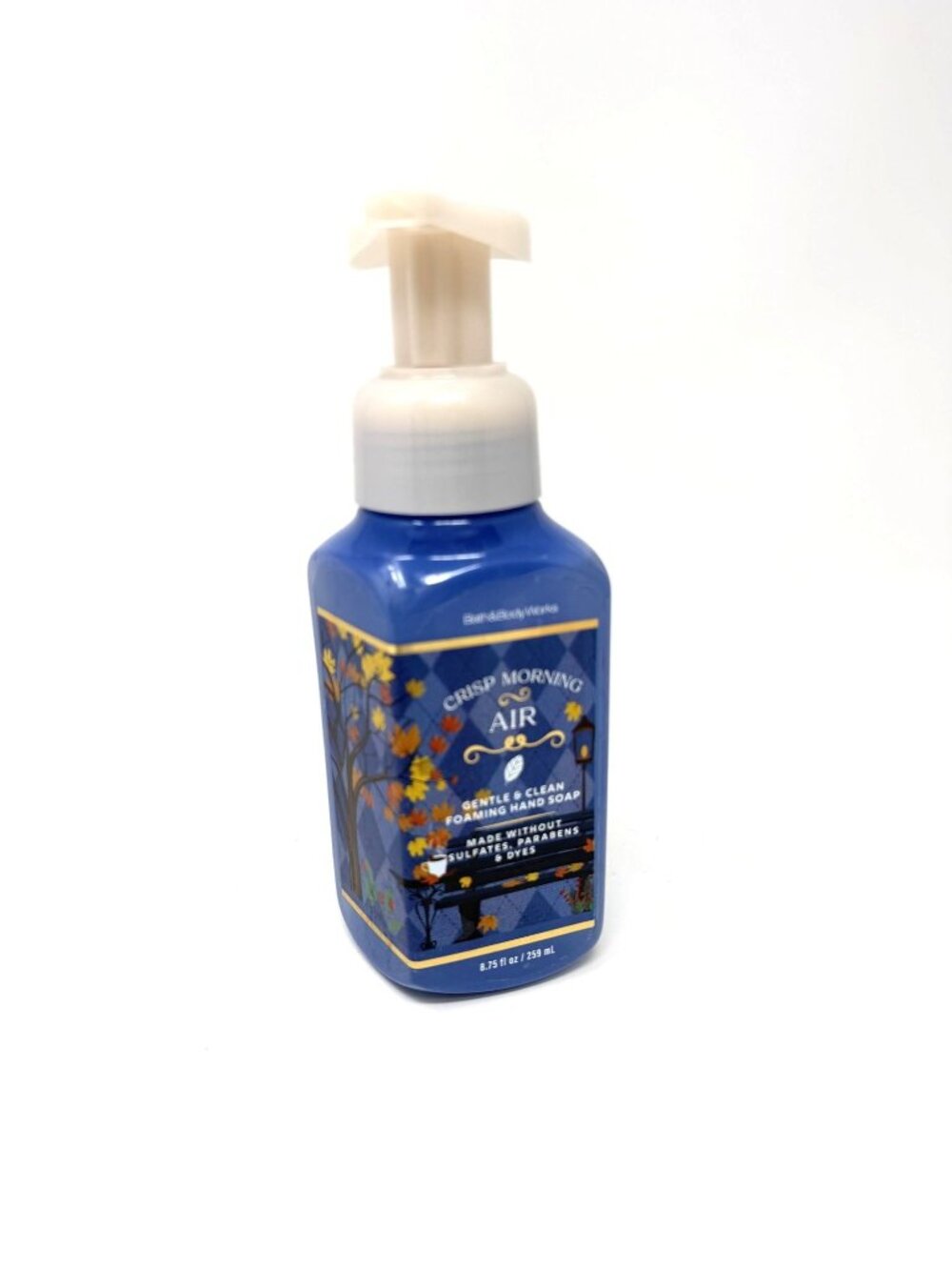 Bath & Body Works Crisp Morning Air Foaming Hand Soap 8.75 Fl Oz Gentle